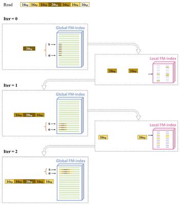 Short Read Alignment Based on Maximal Approximate Match Seeds